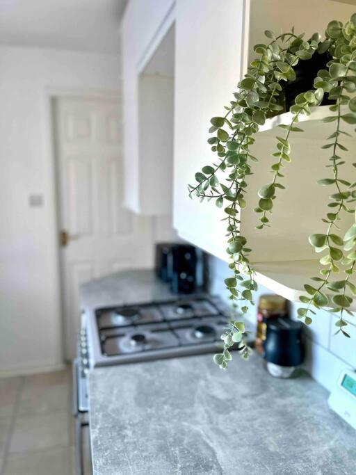 Close To City Centre-Quayside Bright Apartment Gateshead Exteriör bild